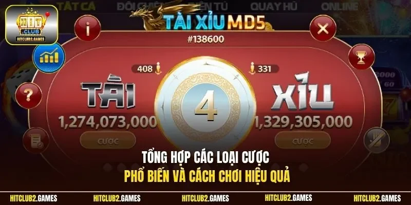Tổng hợp các loại cược phổ biến và cách chơi hiệu quả